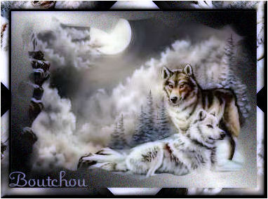 pour omar